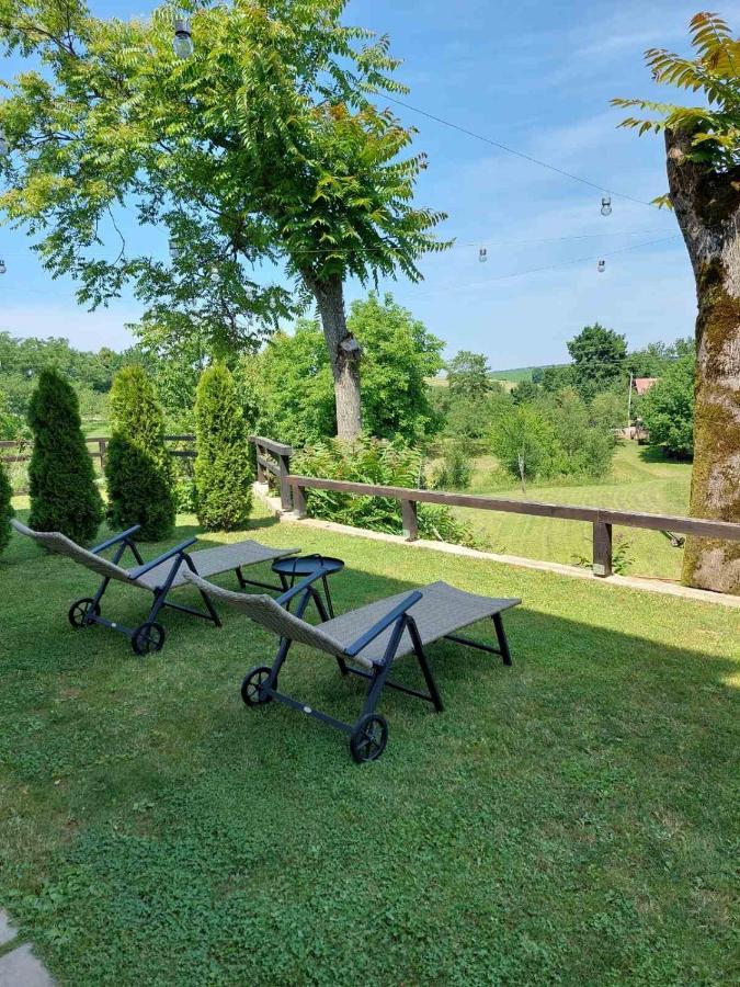Apartman Hana Lägenhet Drežnik Grad Exteriör bild