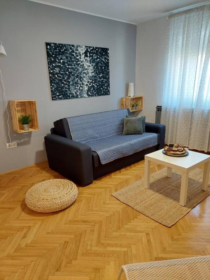 Apartman Hana Lägenhet Drežnik Grad Exteriör bild