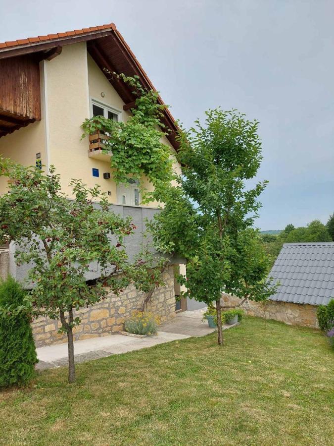 Apartman Hana Lägenhet Drežnik Grad Exteriör bild